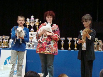 20121021_266 (Expo)